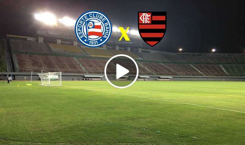 AO VIVO, Bahia x Flamengo, assista a transmissão com imagens!